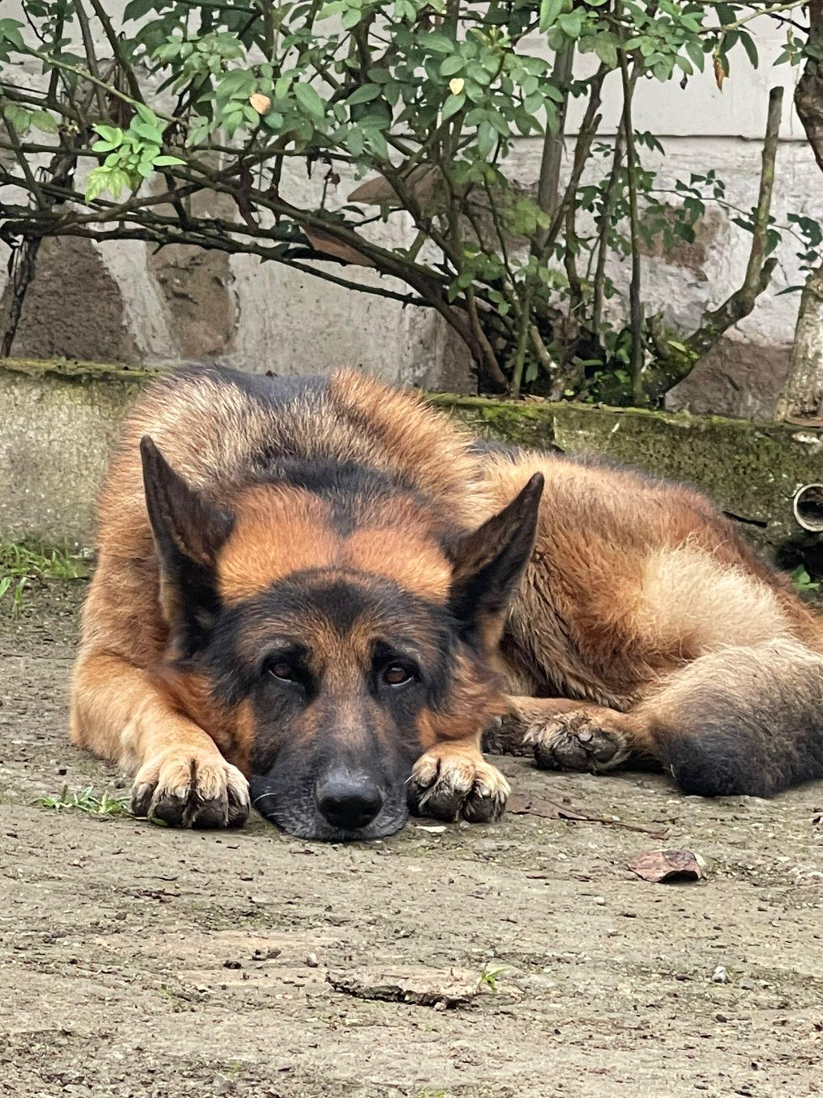Playa Finca Hostería Bella Aurora
