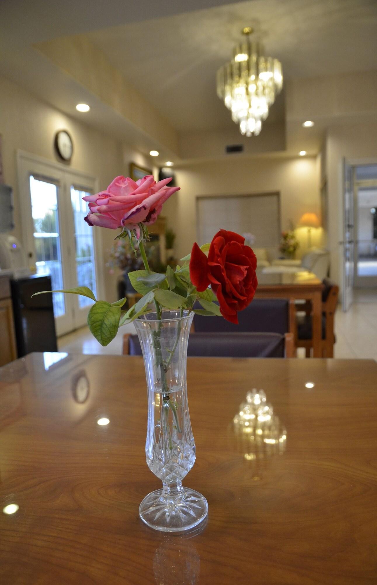 Vista Lobby Garden Inn and Suites