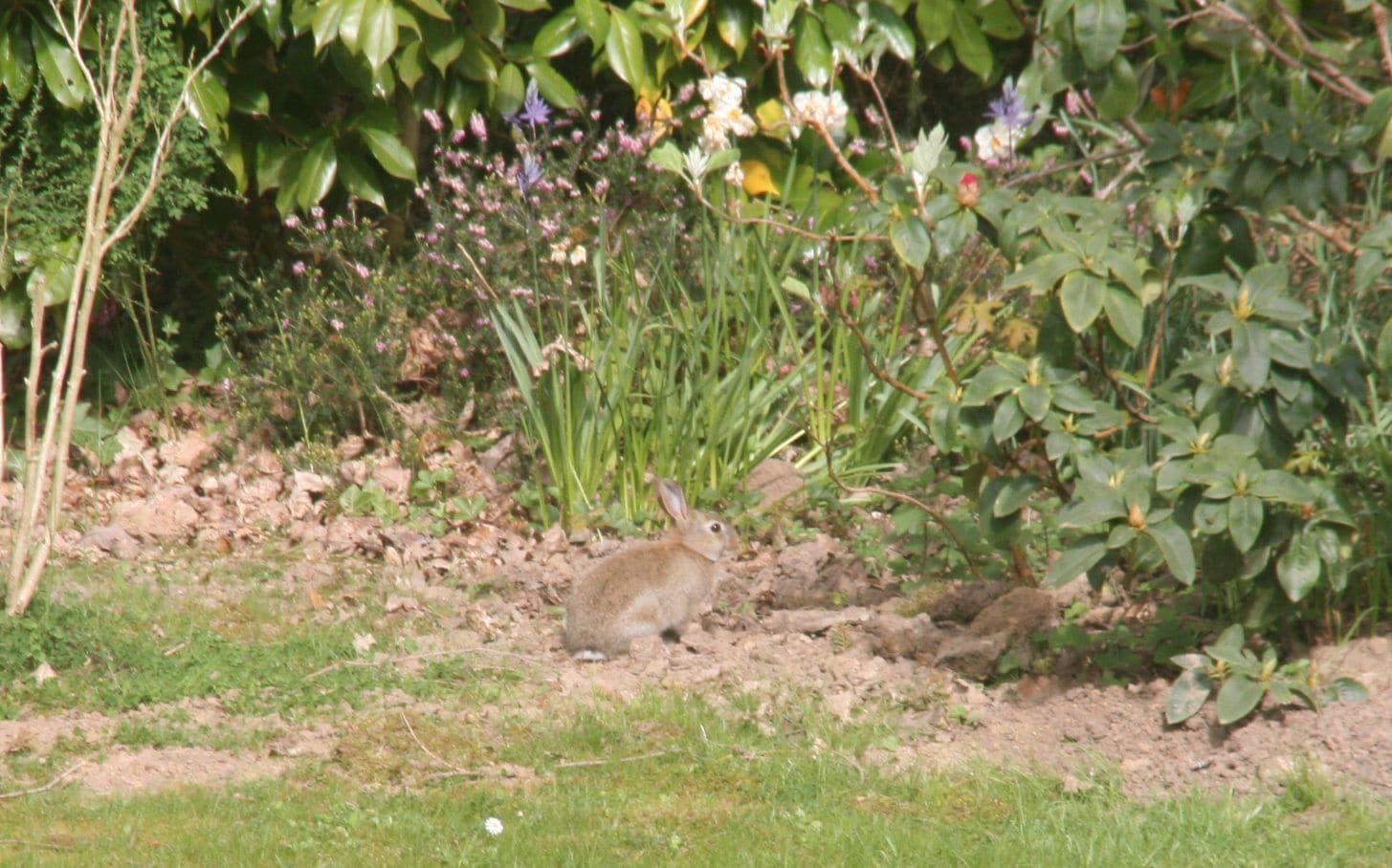 Vista Exterior Au Charme du Lac Piscine
