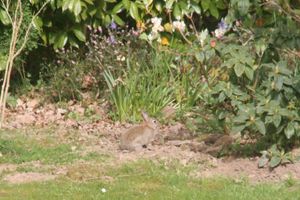 Alojamiento - Au Charme du Lac Piscine