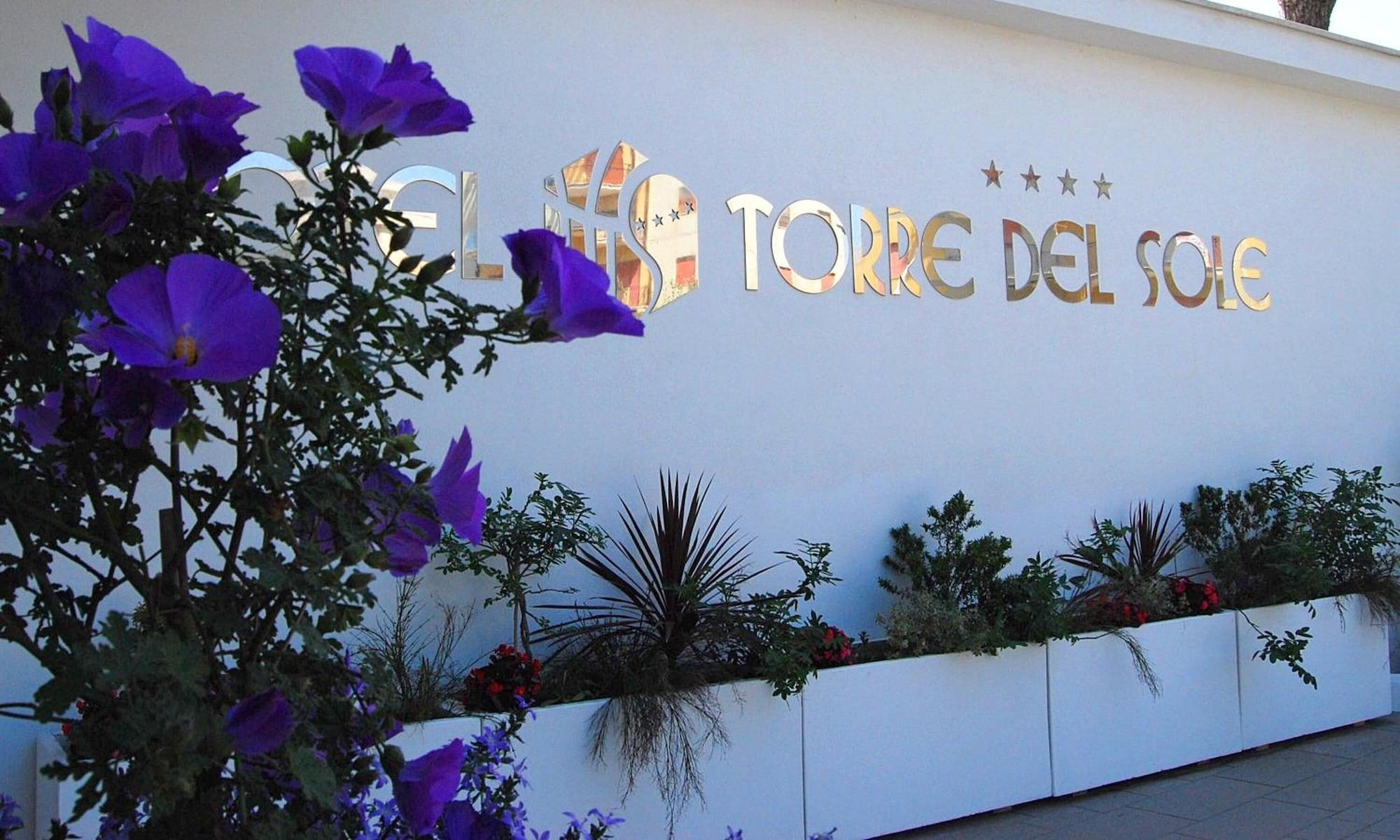 Vista Exterior Hotel Torre Del Sole