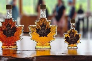 Actividad - Niagara Falls by Day and Night - Full-Day Tour