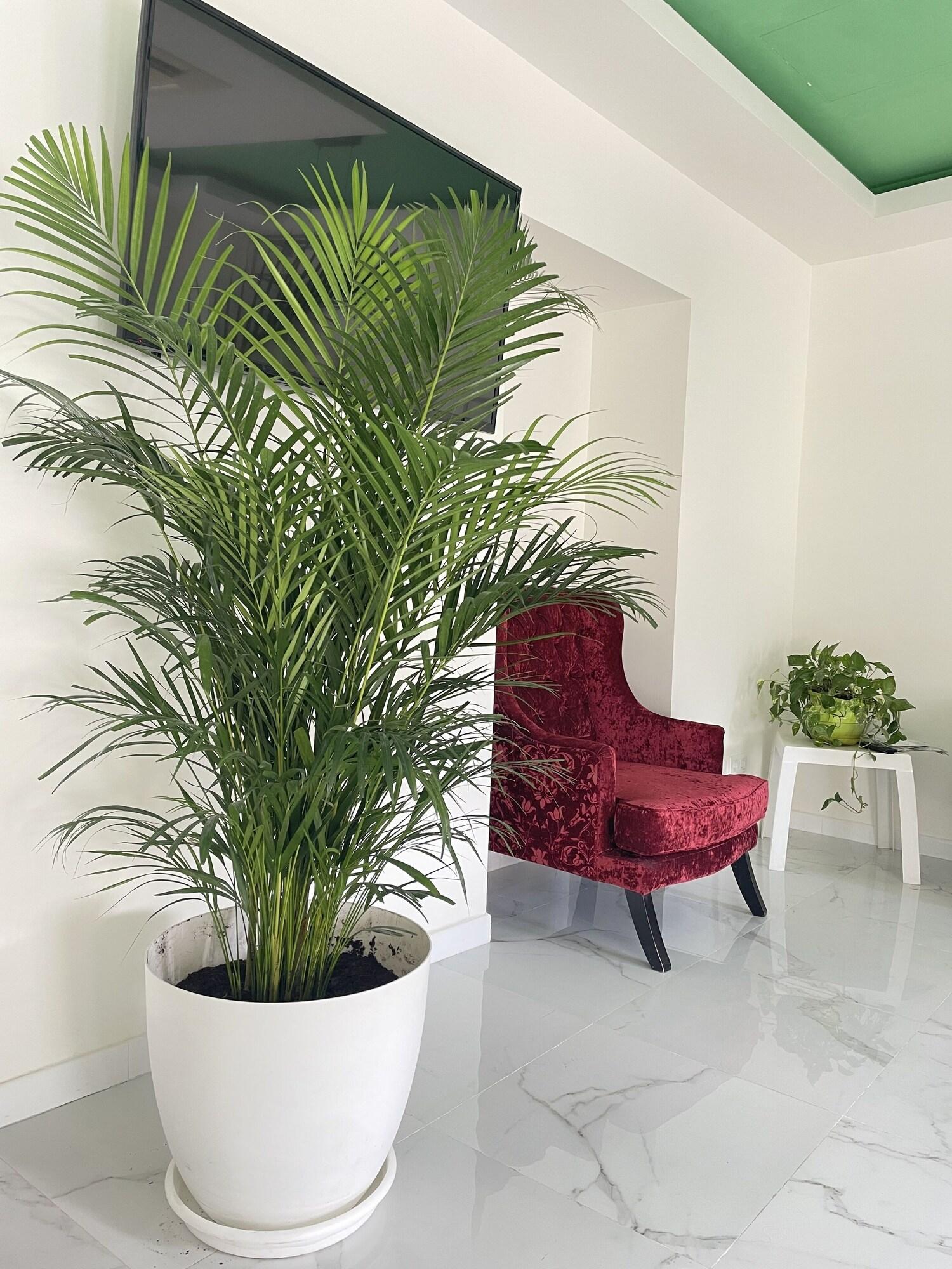 Vista Lobby La Villa del Sastre