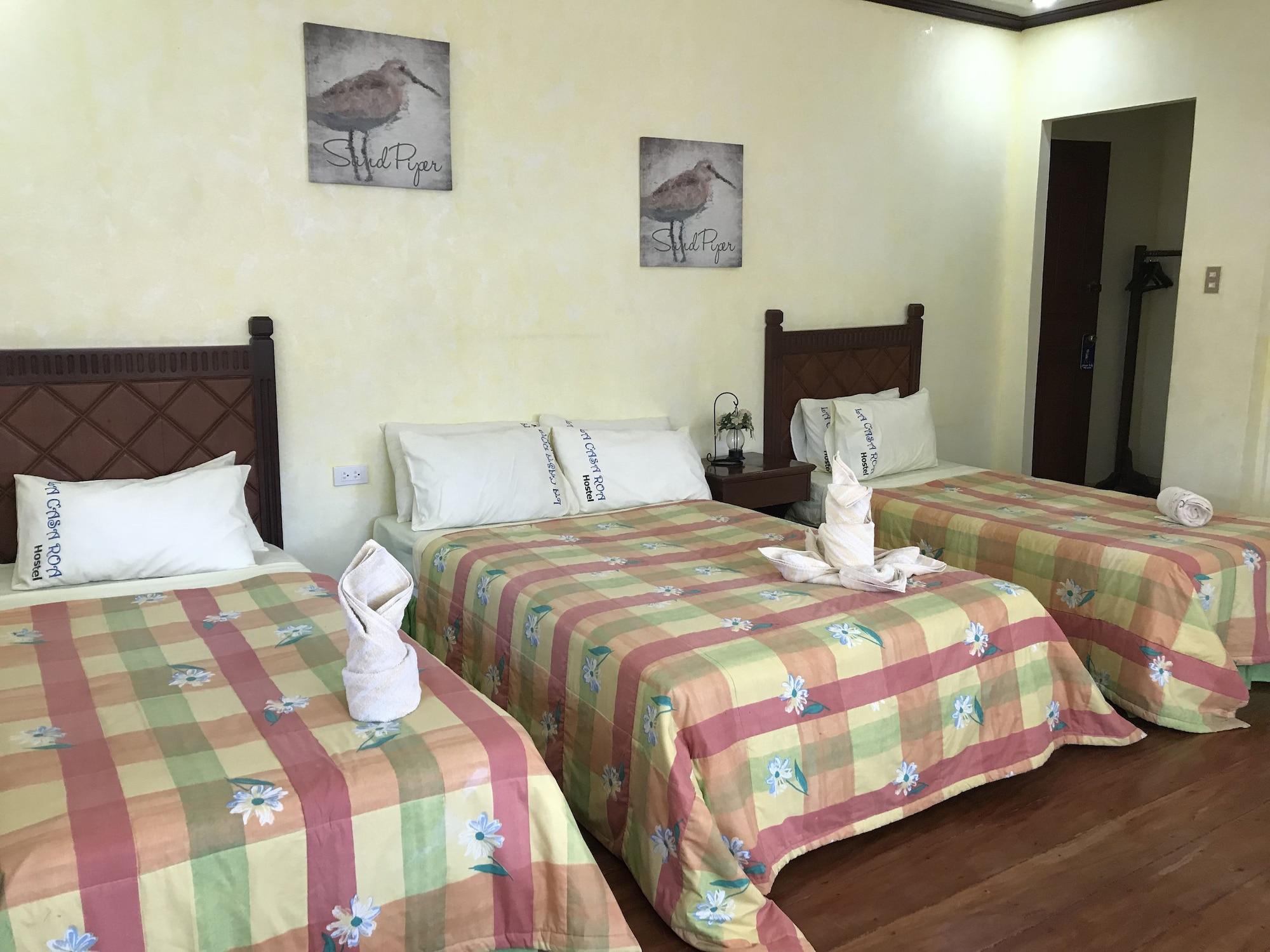 Habitación La Casa Roa Hostel