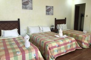 Alojamiento - La Casa Roa Hostel