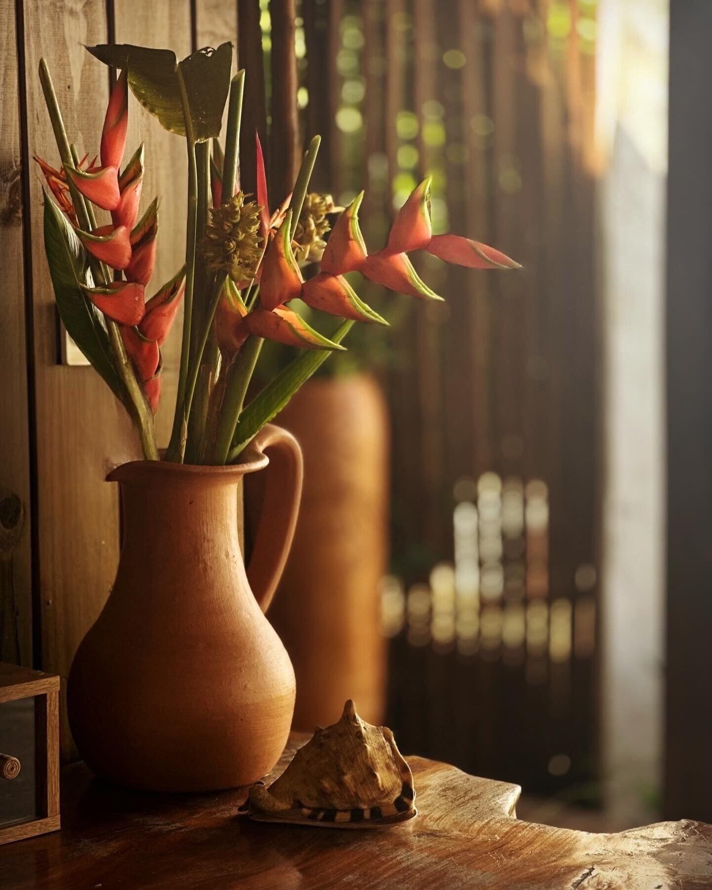 Vista Lobby Mayim Villa