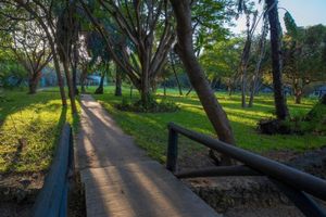 Alojamiento - Amani Beach Resort