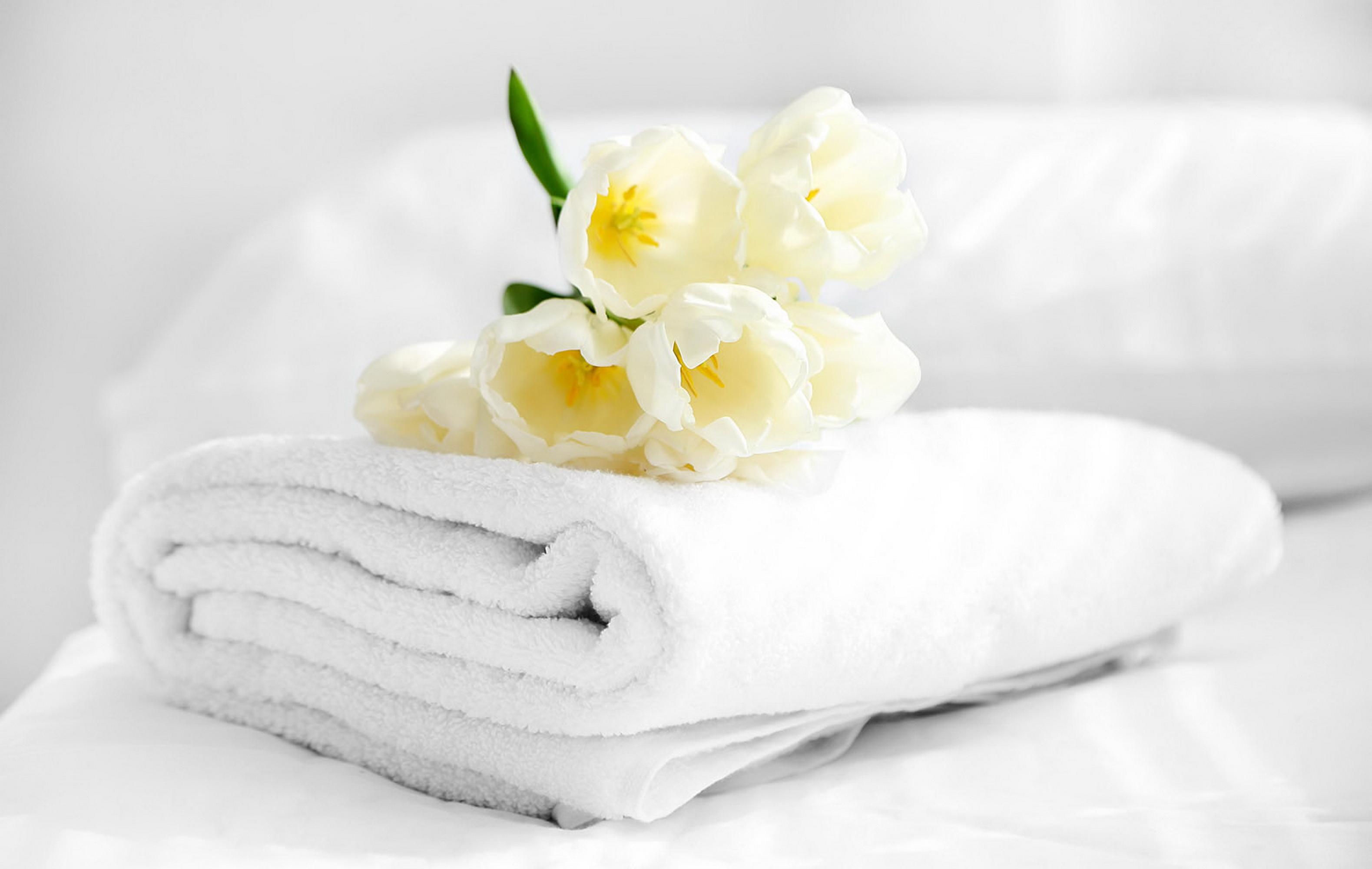 Spa Hotel Presidente