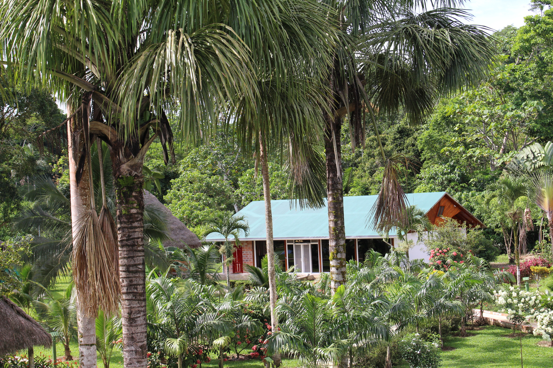 Vista Exterior Misahualli Amazon Lodge