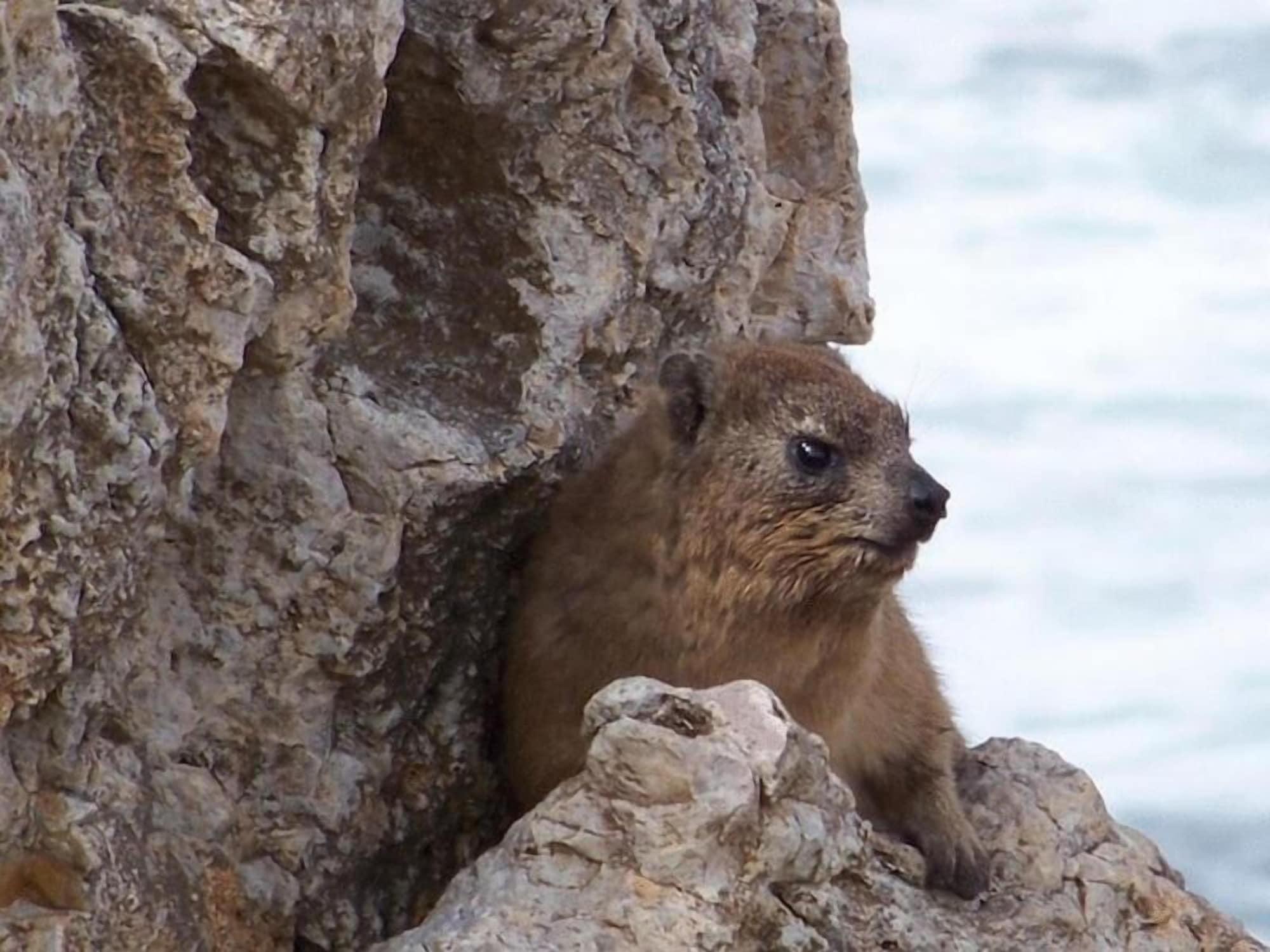 Vista Exterior Crayfish Lodge Sea & Country Guest House