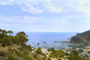 Passeio - Catalina Island com Expedição Subaquática - Tour de Dia Inteiro