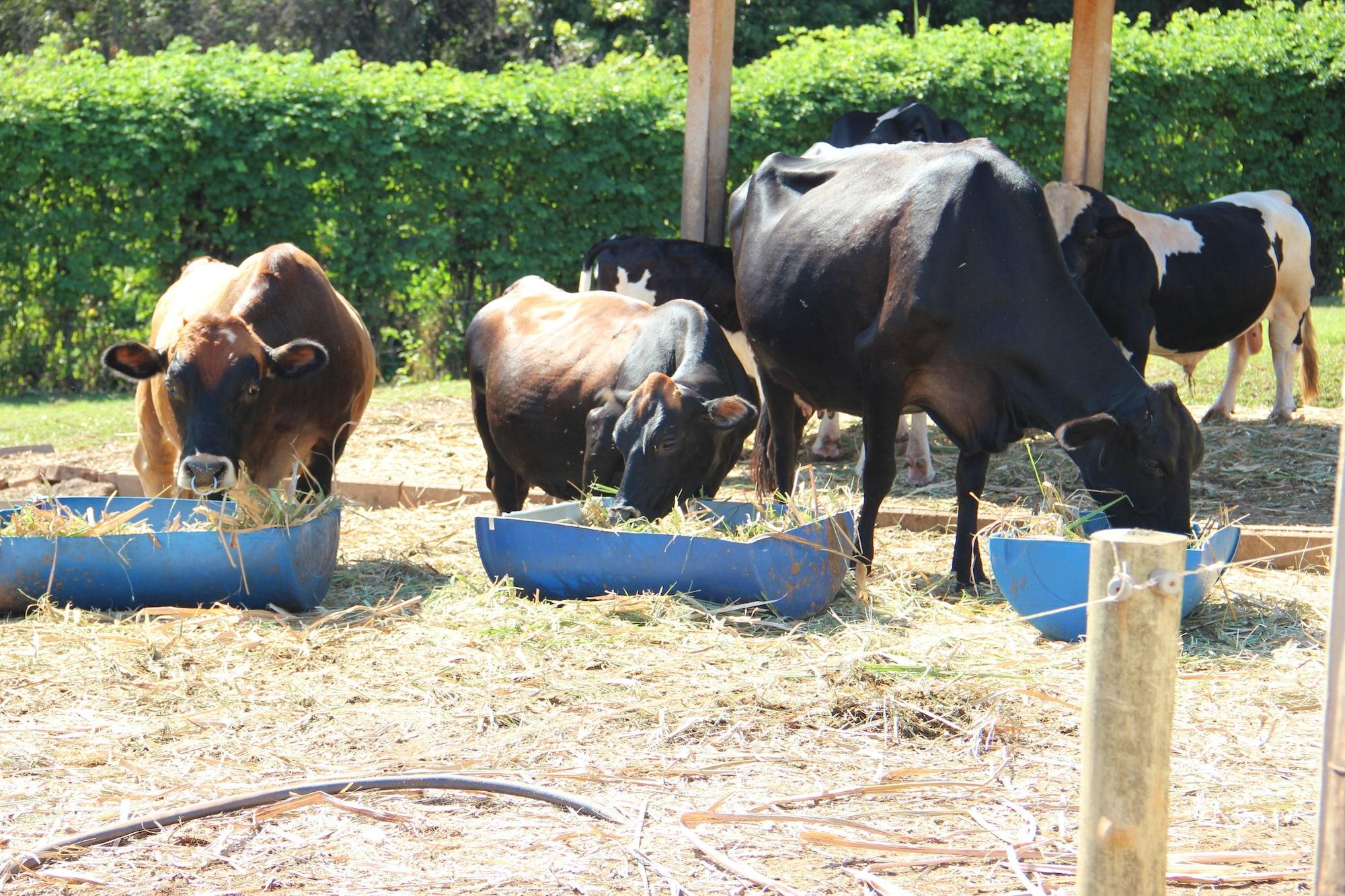 Gimnasio Pousada Monte Carlo