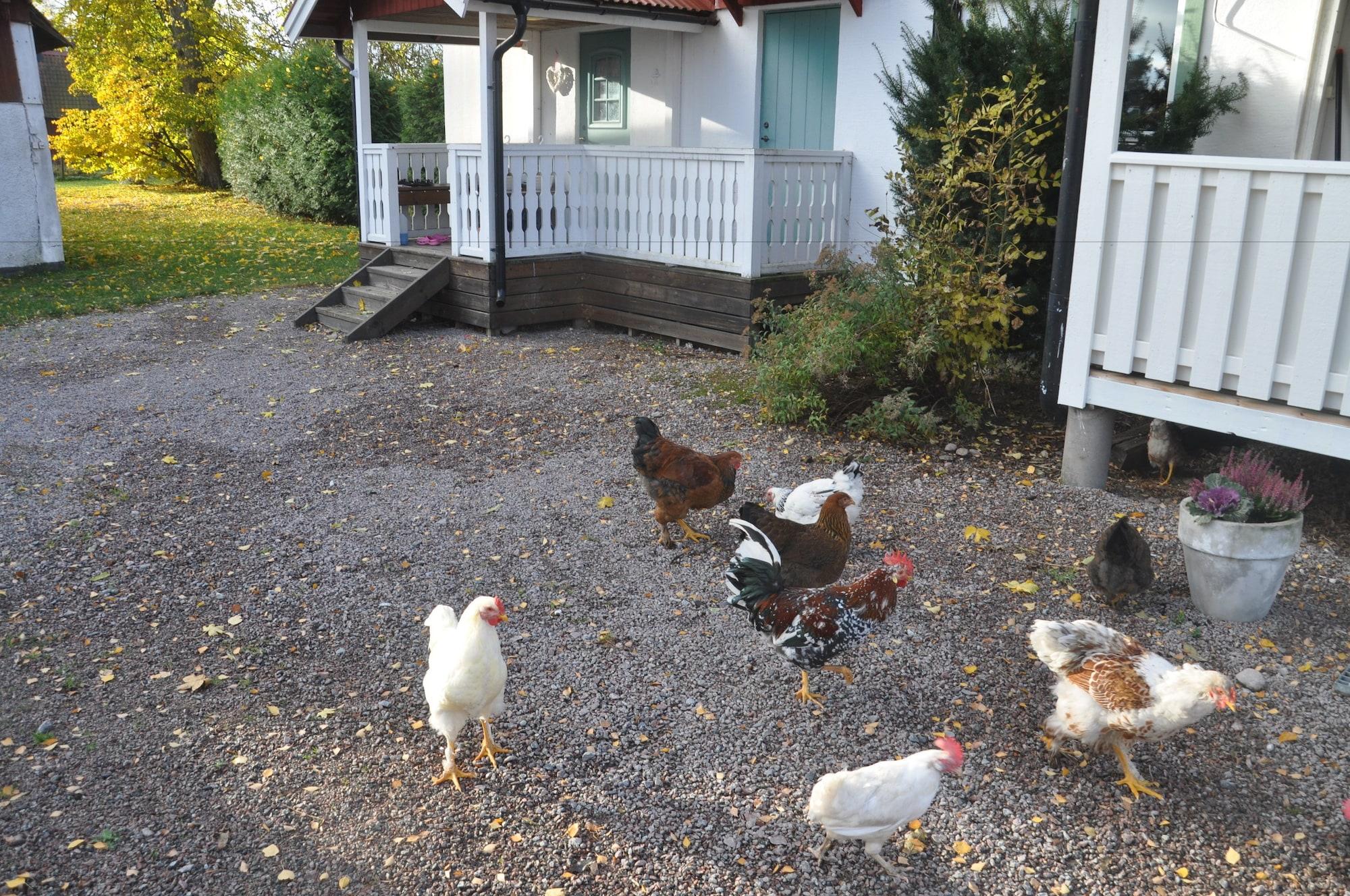 Vista Exterior Kullagården