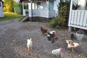 Alojamiento - Kullagården