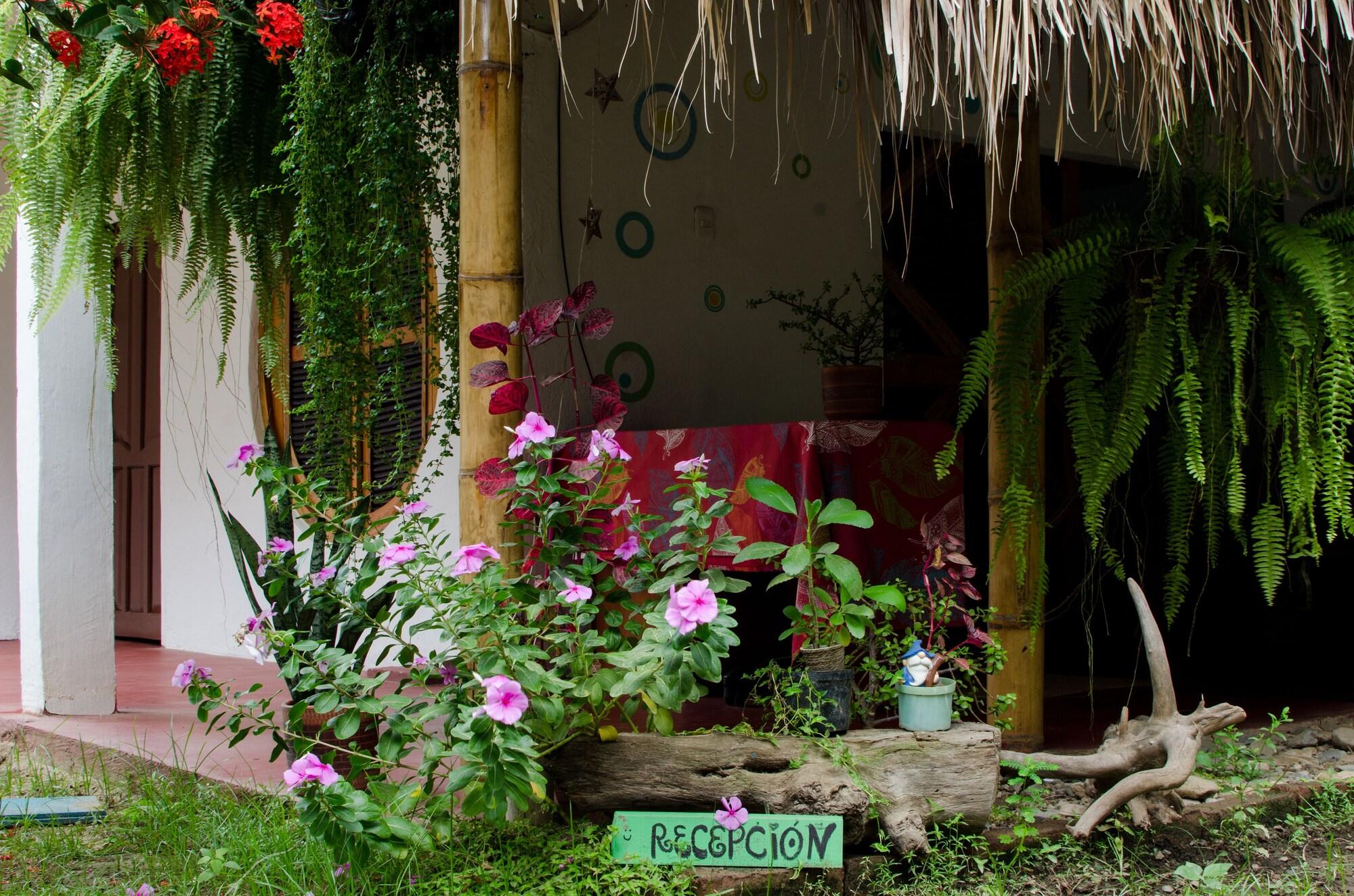 Vista Lobby Corazón de Tagua