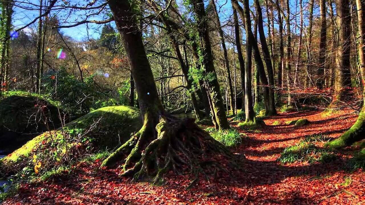 Equipamiento de Habitación Armorica
