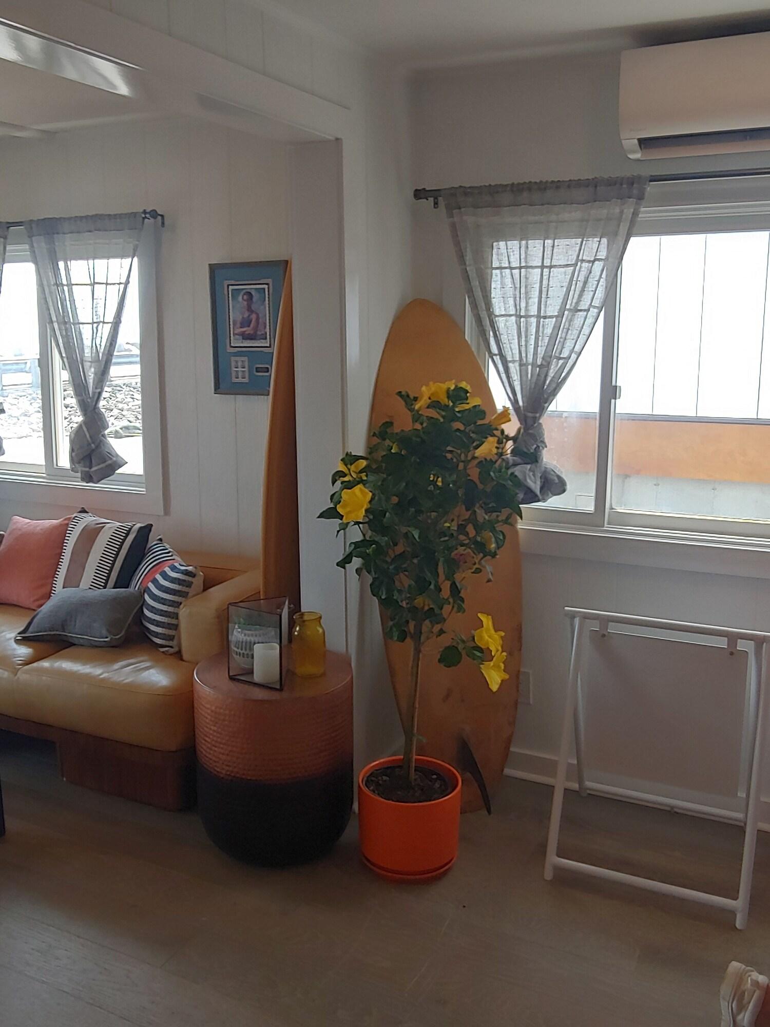 Vista Lobby York Beach Surf Club
