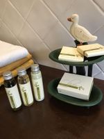 Alojamiento - La Camaldola