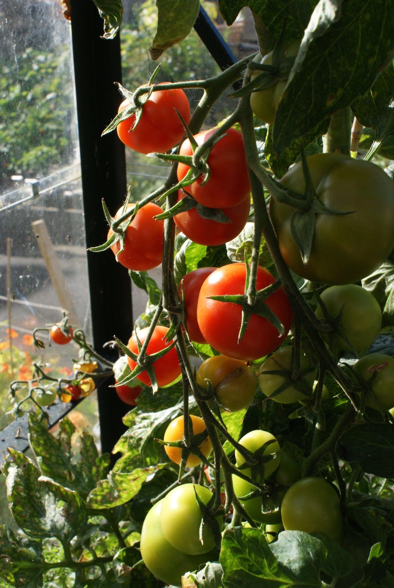 Varios Dean Park Guest House