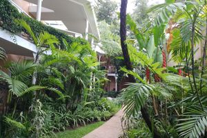 Alojamiento - Hotel Ciudad Vieja