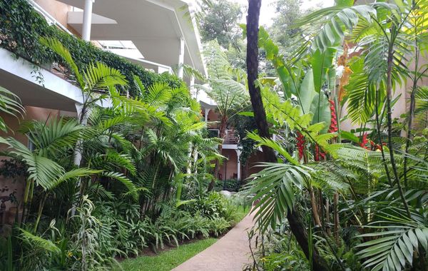 Hotel Ciudad Vieja