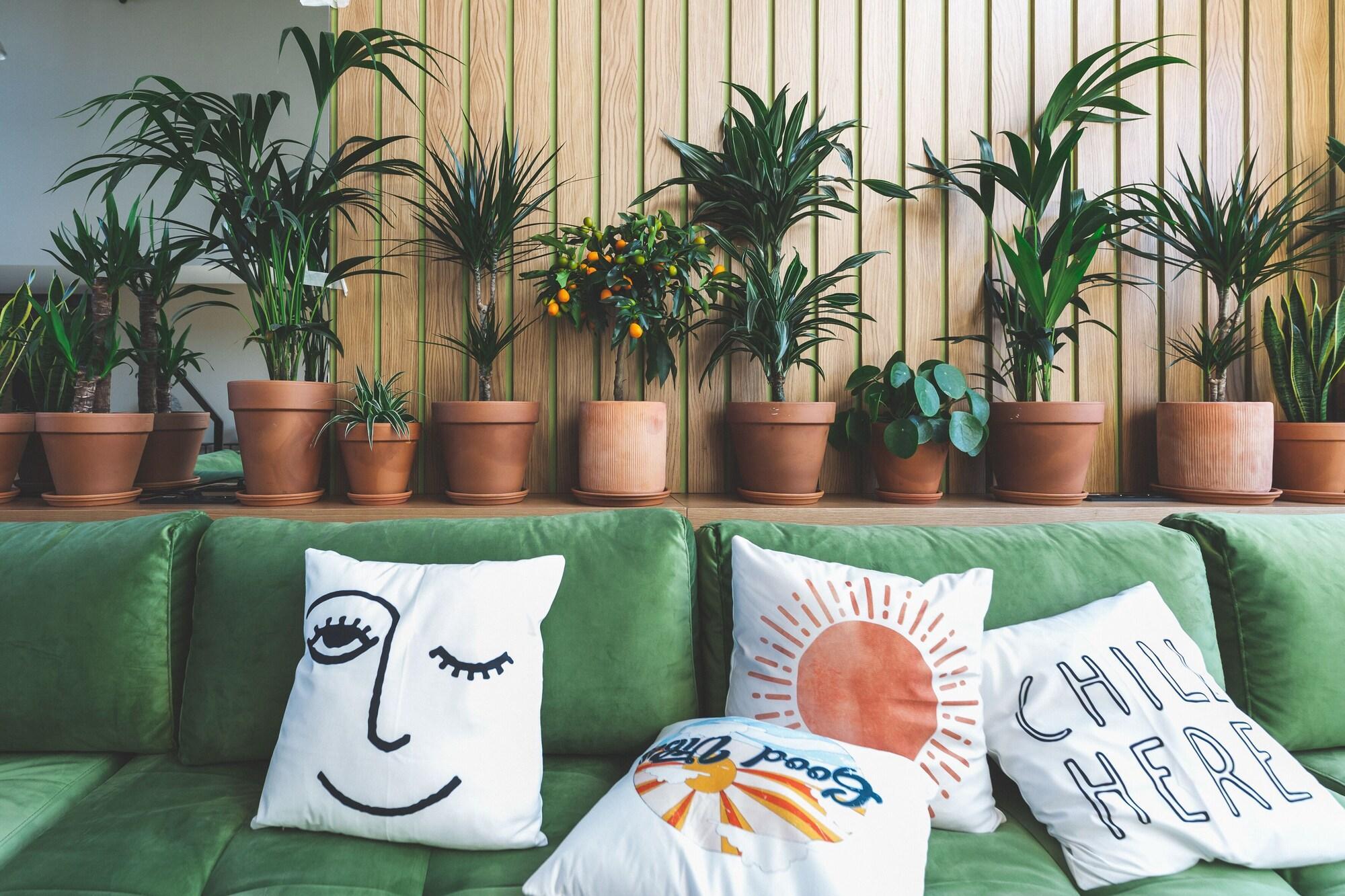 Bar/Salón Coloft By PurePlaces