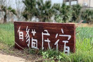 Alojamiento - White Cat B&B