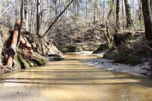 Alquiler Vacacional - Charming 3-bedroom cabin in welcoming Crosby with WiFi, AC