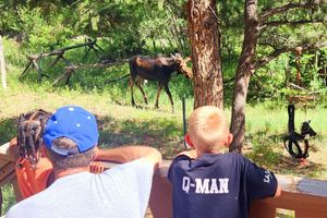 Alquiler Vacacional - Steps away from Wild Basin:RMNP- 2-bdrm cabin perfect for adventure or relaxing!