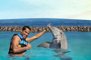 Actividad - Dolphin Swim en Puerto Vallarta
