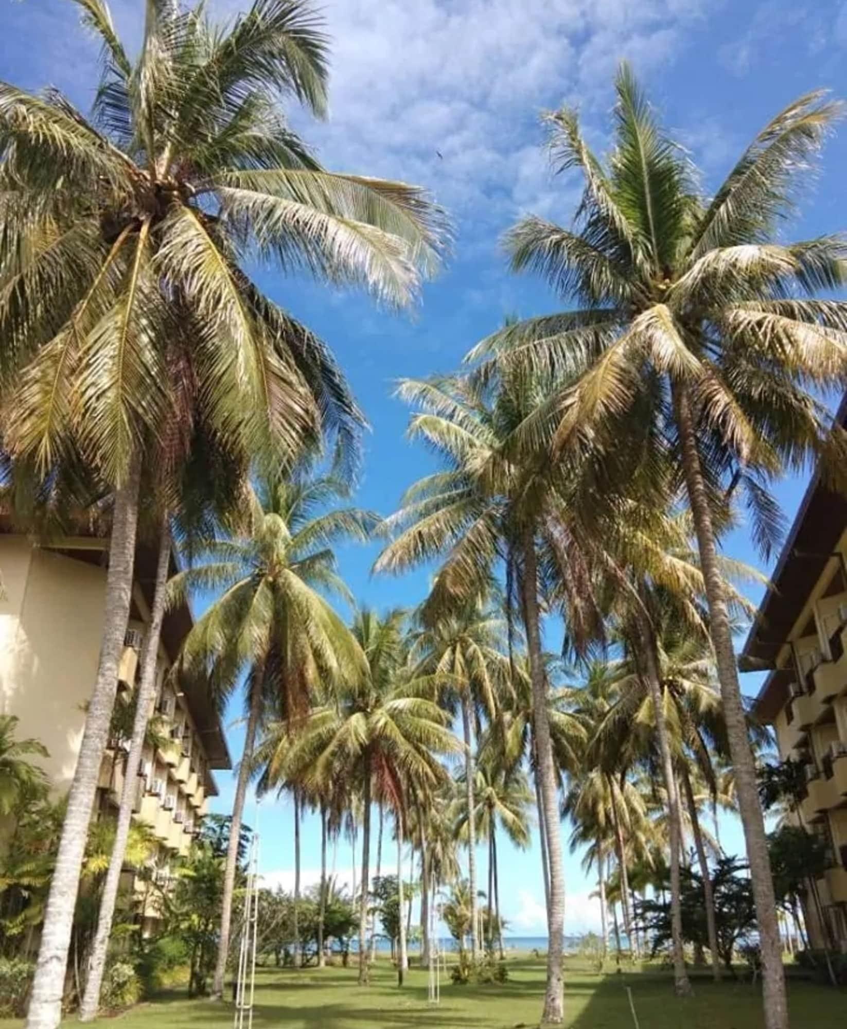 Vista Exterior Palm Beach Resort & Spa