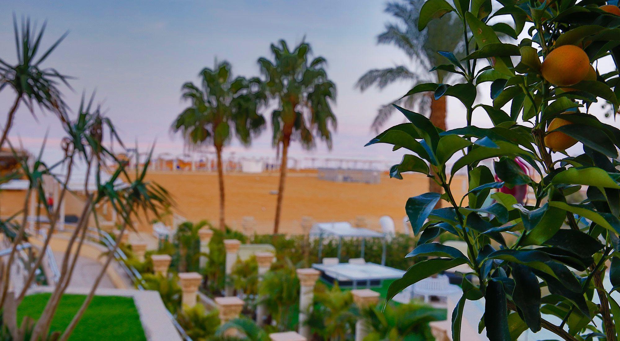 Vista Exterior Herbert Samuel Hod Dead Sea Hotel
