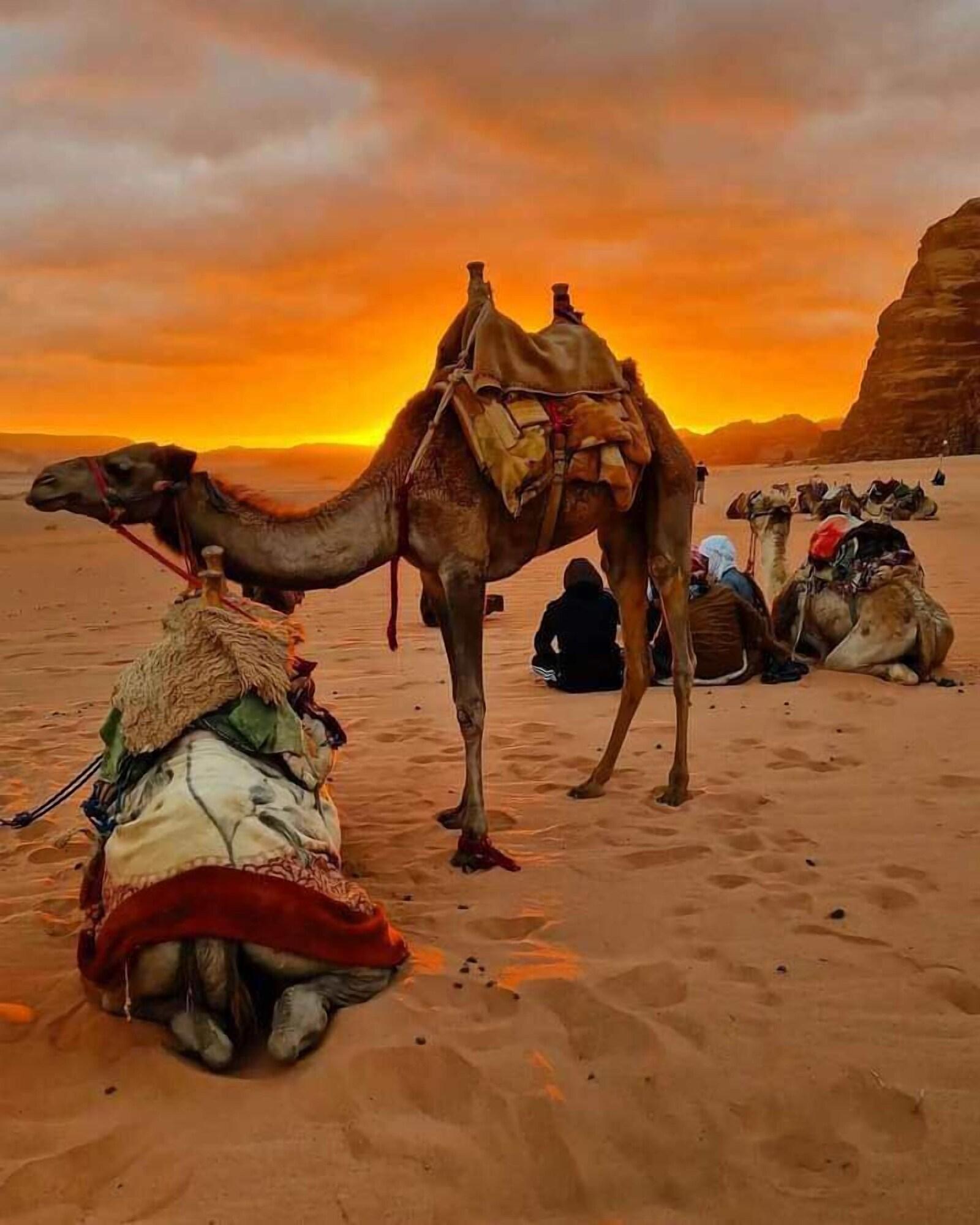 Instalaciones Recreativas Abdullah Ram