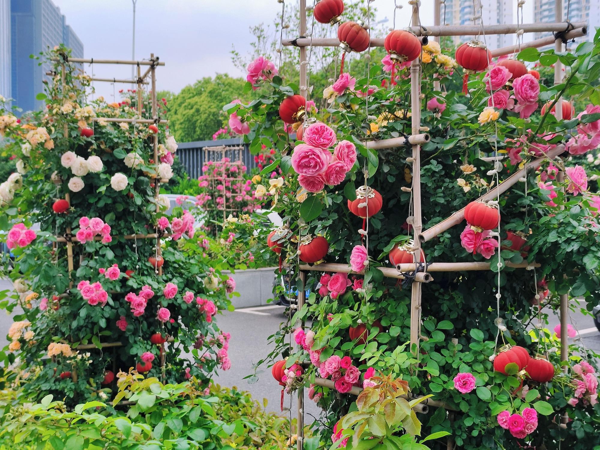 Vista Exterior Ramada Plaza Wuhan Optics Valley