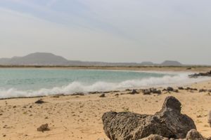 Actividad - Catamarán a isla de Lobos desde Jandía y CostaCalma