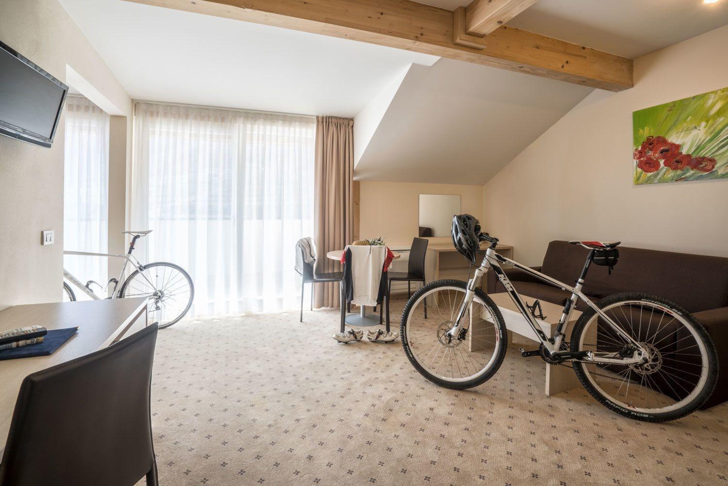 Equipamiento de Habitación Hotel Weingarten