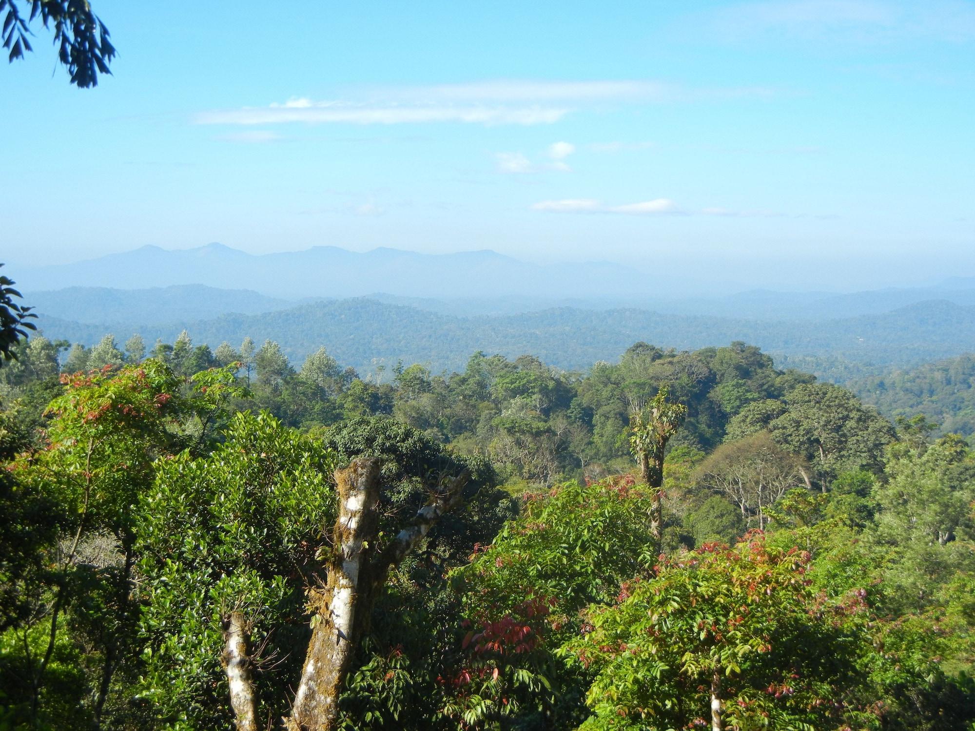 Equipamiento de Habitación Amritasthanam Guest House And Retreat