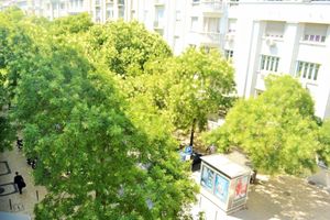 Alojamiento - Feeling Eduardo VII