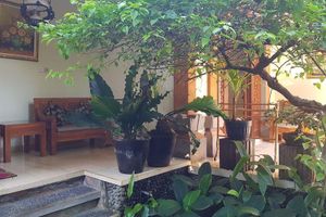 Alojamiento - Satya House Ubud