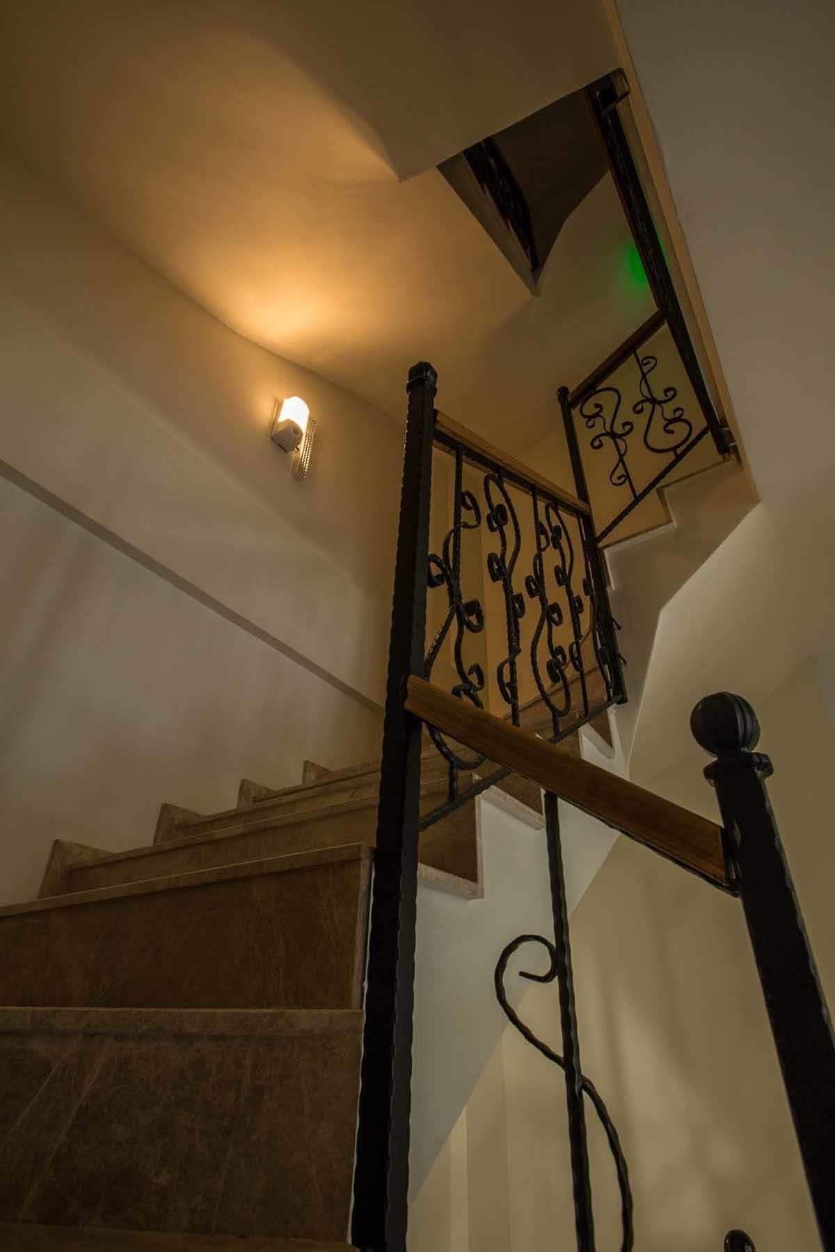 Varios Clementine Suits Sigacik