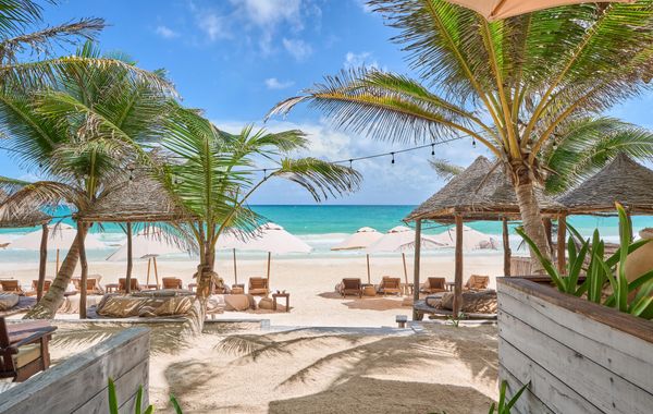 Hotel Dos Ceibas Eco Retreat Tulum - Hoteles cerca de Parque Xcaret, México en Playa del Carmen