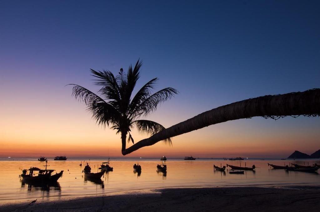 Playa Lotus Hostel Beach Koh Tao