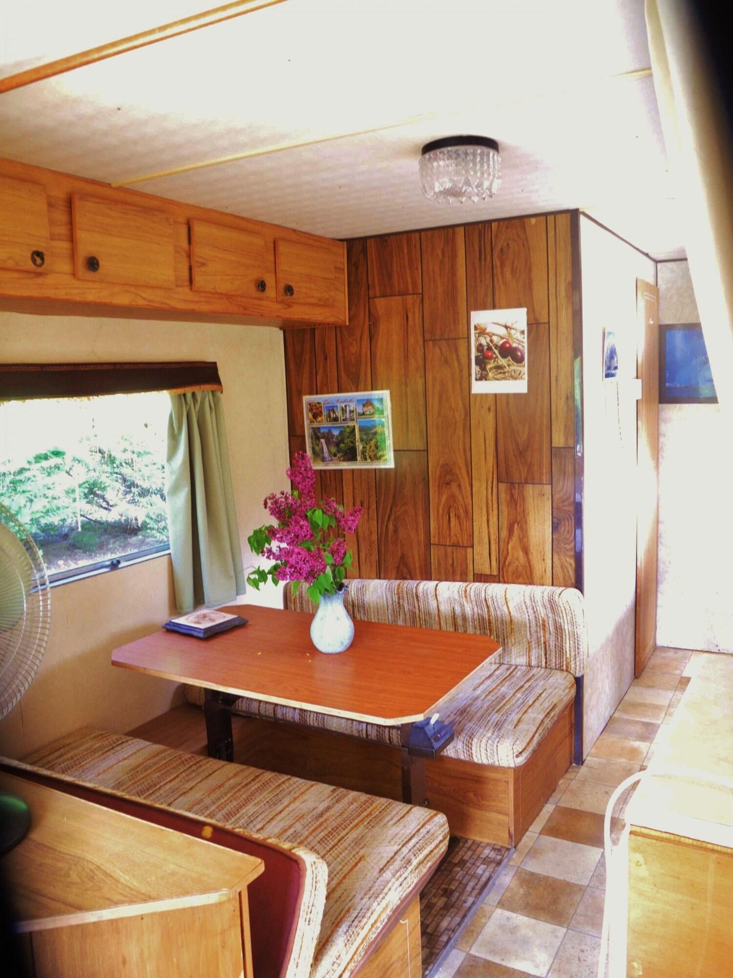 Equipamiento de Habitación Eco-Domaine Pontet Fronzele Mobil home