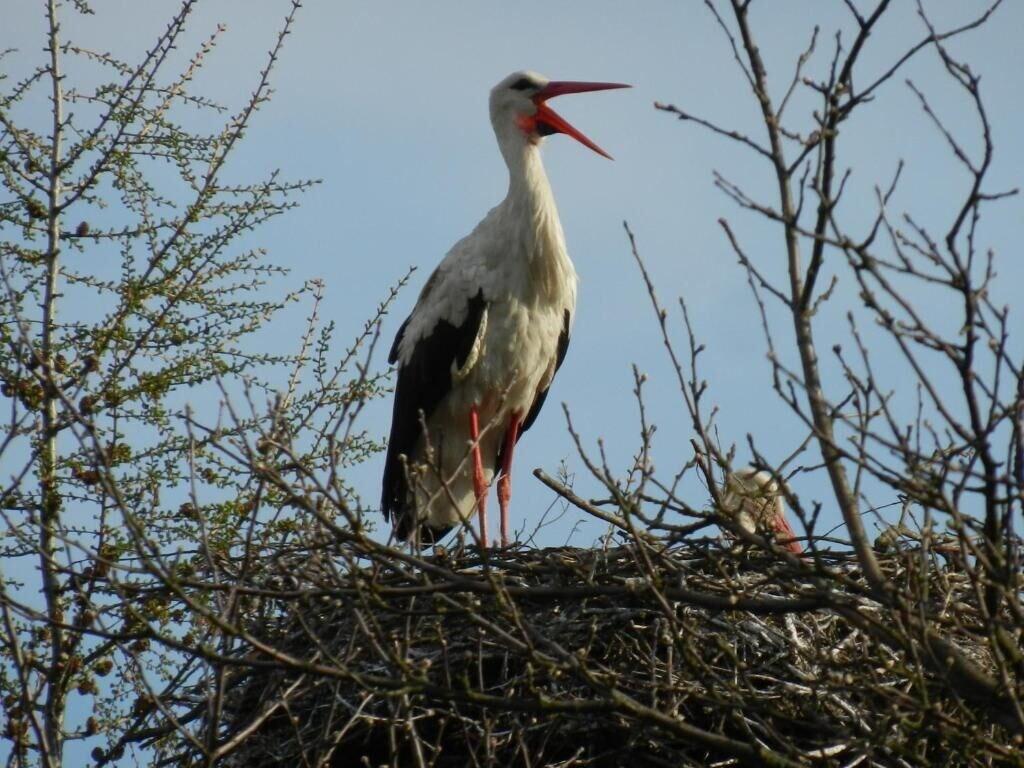 Vista Exterior Agroturystyka u przyjaciol Soni