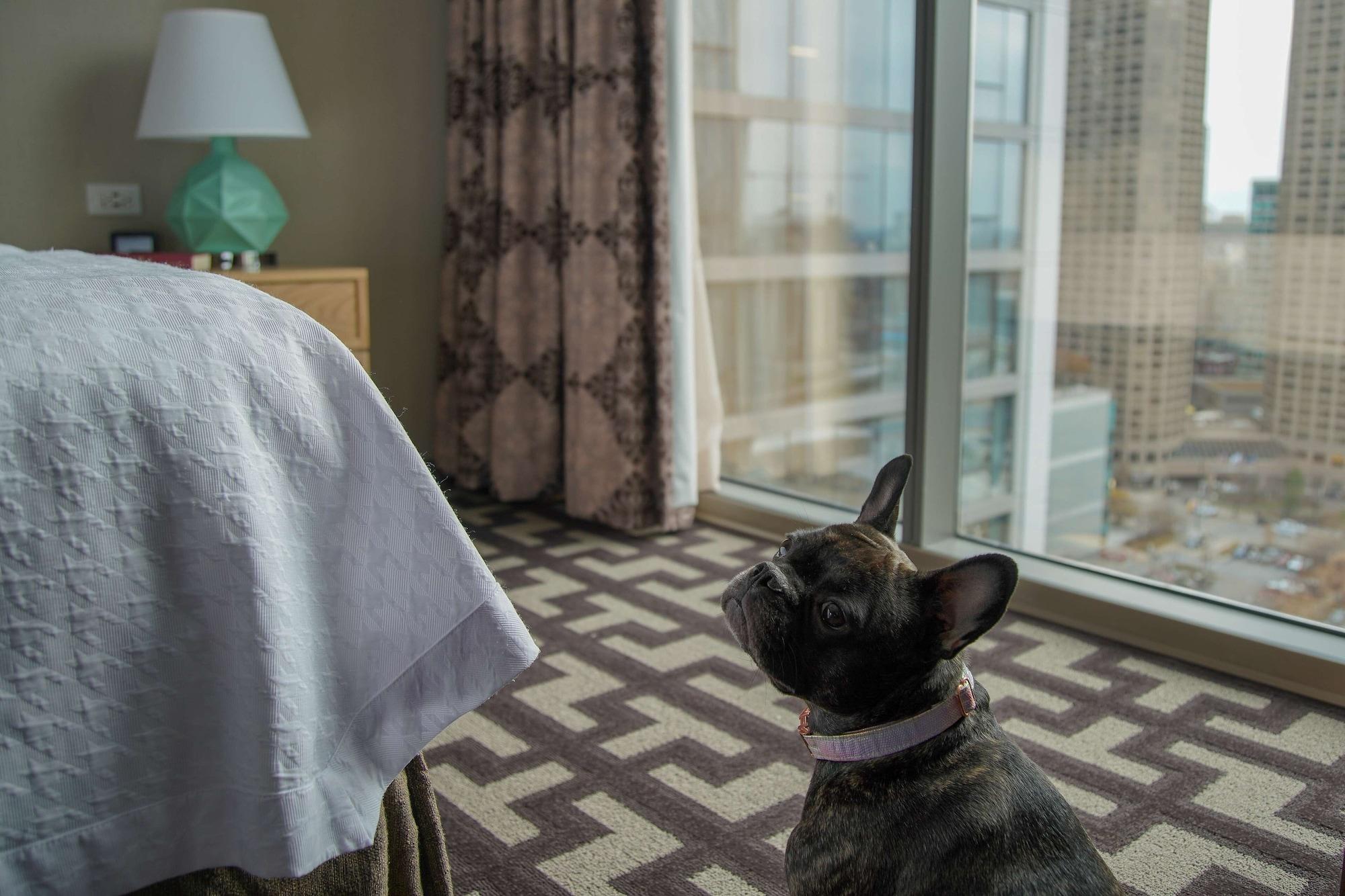 Habitación Homewood Suites by Hilton Chicago West Loop Fulton Mkt Area