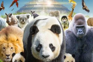 Alquiler Vacacional - Maison de Charme en Sologne