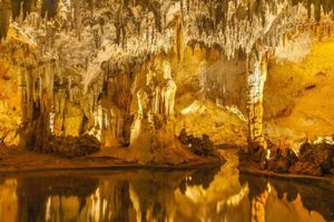 Actividad - Excursión a los Altos de Chavón y la Cueva de las Maravillas