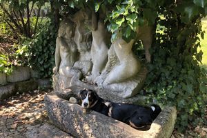 Alojamiento - Haus Am Wald