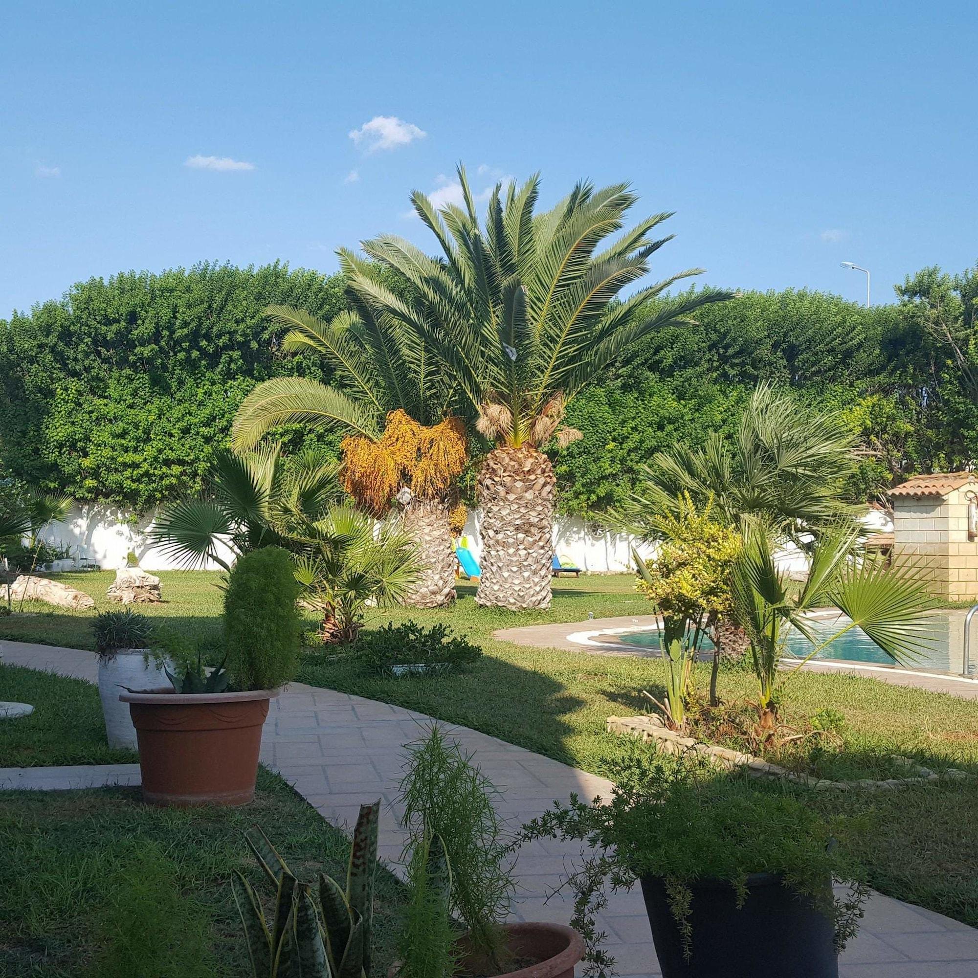 Vista Exterior Dar Kamy