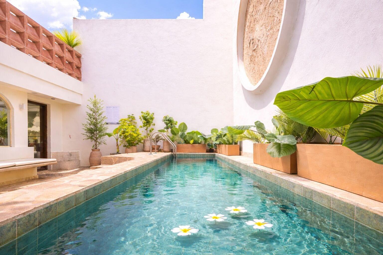 Varios Casa Museo by HOUSY